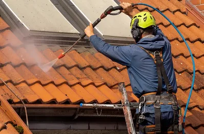 Démoussage et hydrofuge de toiture à Dammard